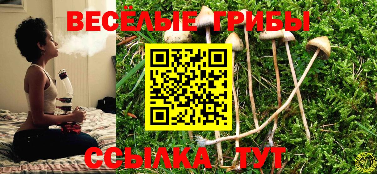 Ревда  Псилоцибиновые грибы Magic Shrooms  продажа наркотиков  Вход с VPN 
